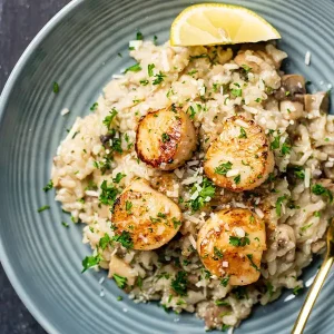 Scallops Risotto
